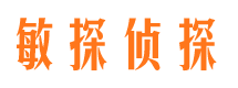 桑日市侦探公司